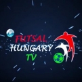 Nézd a magyar futsal bajnoki mérkőzéseit élőben! Ezentúl közreadjuk a Futsal Hungary streamjeit, ahol a meccsek élőben láthatóak!