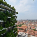 Égbe épített erdők formálhatják a jövő városának képét